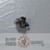 Genuine Kawasaki OEM CARBURETOR-ASSY Part# 15001-2078