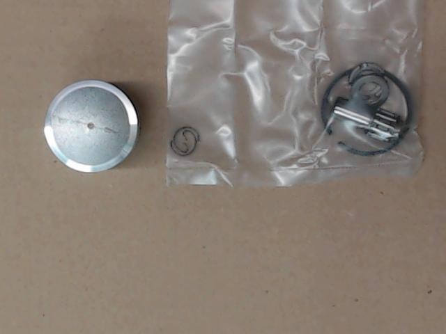 Genuine Echo PISTON KIT Part # P021050840