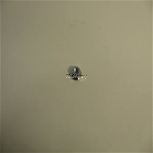 Genuine Kohler NUT Part # M-841080-S