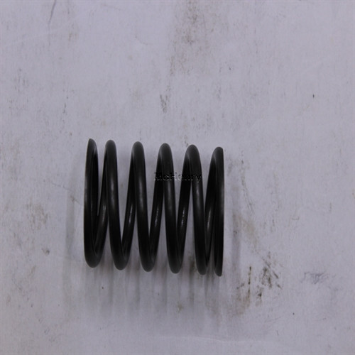 Genuine OEM Kohler SPRING VALVE part# 62 089 54-S