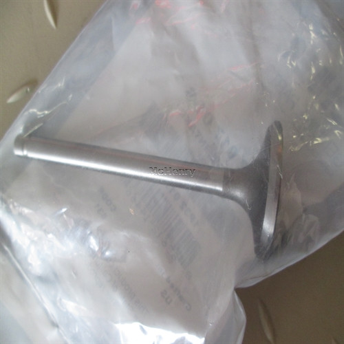 Genuine Kohler VALVE, INTAKE Part # 32 017 01-S