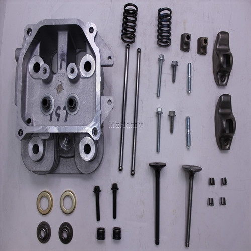 Genuine Kohler KIT, CYLINDER HEAD (#2) Part # 24 318 197-S
