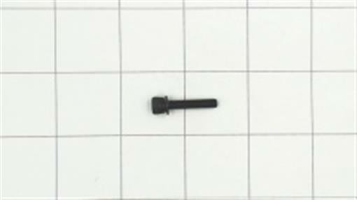 Genuine echo Part BOLT 4 X 22 90016204022