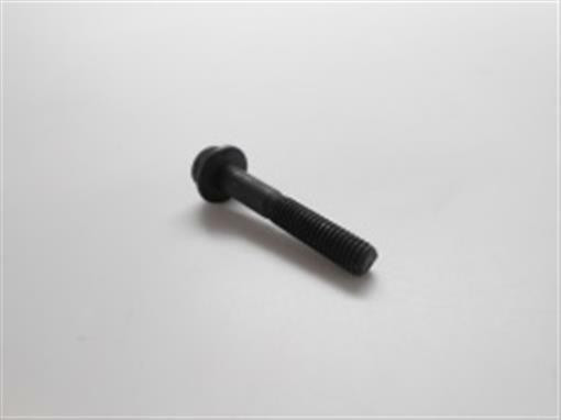 Genuine echo Part BOLT 5X30 90010605030