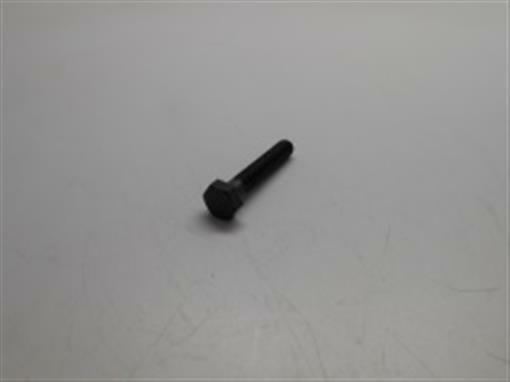 Genuine echo Part BOLT 69911505360