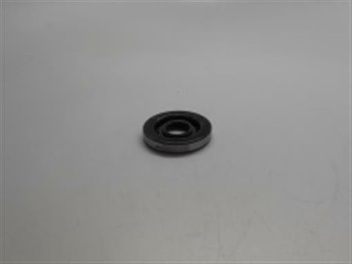 Genuine echo Part SEAL, OIL 10021232430