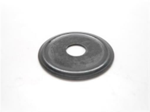 Genuine echo Part WASHER 10014319830