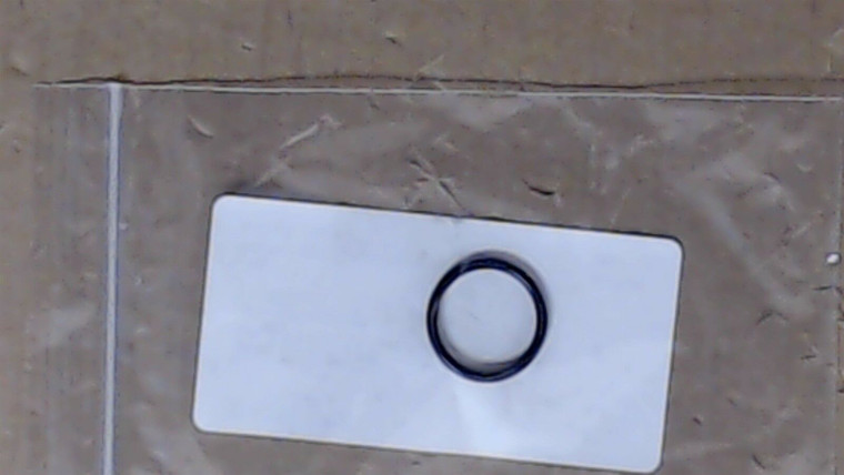 Genuine echo Part O-RING 22 V581000610