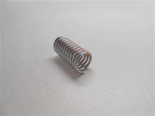 Genuine echo Part SPRING, COMPRESSION V450000780