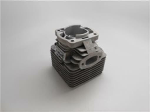 Genuine echo Part CYLINDER ASSY P021029350