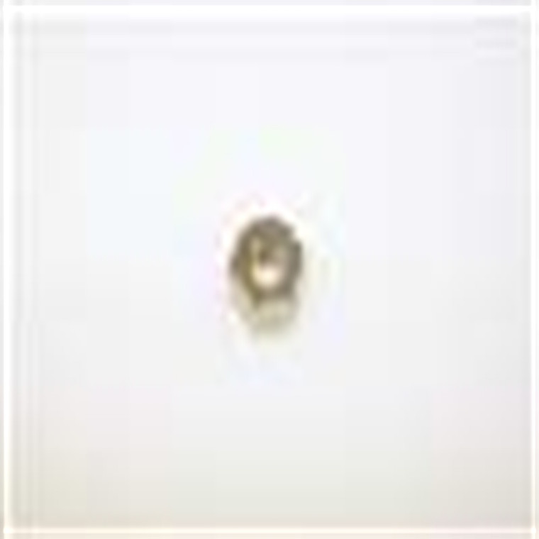 Genuine Ariens Center Lock Nut Part# 06529800