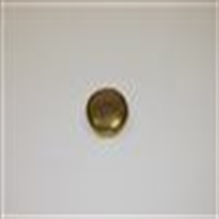 Genuine Ariens Lawn Mower Cap, Dust Part# 04792200