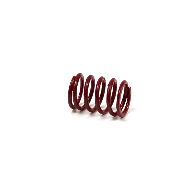 Genuine Brigg&Straton Valve Spring Replacement Part# 691597