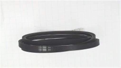 Genuine MTD  Part BELT-V 1739080