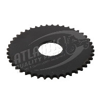 Atlantic Quality Parts Sprocket  Universal WSS104043    3016-0170