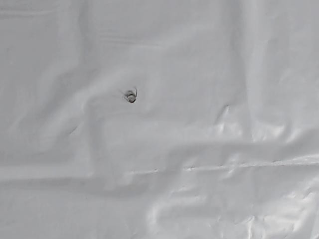 Genuine Kawasaki OEM SPRING Part# 92081-2253