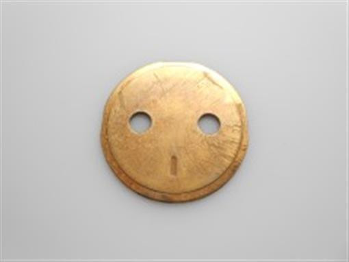 Genuine Tecumseh   SHUTTER  Part# 640038