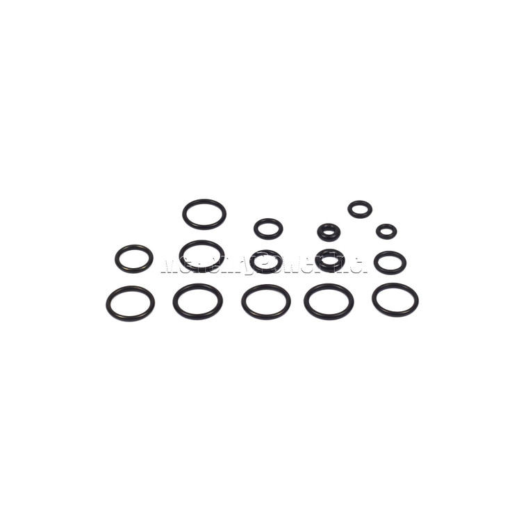 Genuine Briggs & Stratton KIT-O-RING Part Number 200346GS