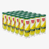 Wilson Regular Duty Tennis Balls (Case 24x) View 1 Thumbnail Image