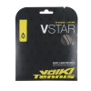 (Unpurchaseable) Volkl V-Star 18g Silver View 1 Thumbnail Image