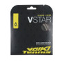 (Unpurchaseable) Volkl V-Star 18g Silver View 1