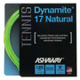 Ashaway Dynamite 17g Natural Green View 1