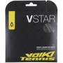 Volkl V-Star 16g Silver View 1