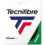Tecnifibre Dynamix V.P. Squash View 1