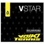 Volkl V-Star 17g Silver View 1