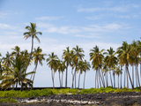 Fun Things to do In Kona