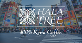 Hala Tree Coffee is Coming to Tokyo | Tree Coffee at the 98th Tokyo International Gift Show – Autumn 2024!