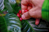 Unique Things To Do in Kona