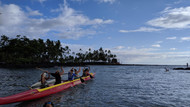 Things to do in Captain Cook Hawaii