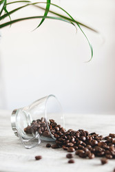 Kona Coffee Subscription Club