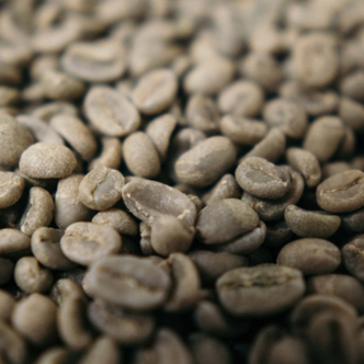 Green Coffee Club 