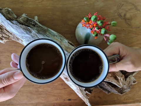 Why Drink Organic Coffee?