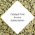 Catalyst First Access Subscription