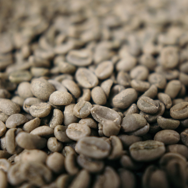 Green 100% Kona Coffee | 1lb Prime 