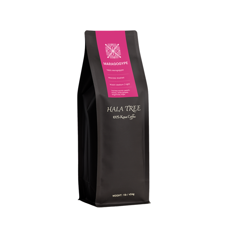 100% Kona Coffee | Maragogype