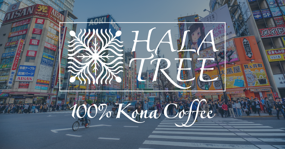 Hala Tree Coffee is Coming to Tokyo | Tree Coffee at the 98th Tokyo International Gift Show – Autumn 2024!