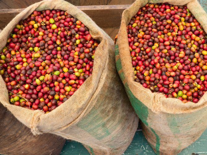 Pure Kona Coffee