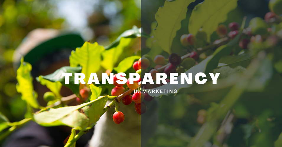 The Deceptive Landscape of Kona Coffee: What You Need to Know