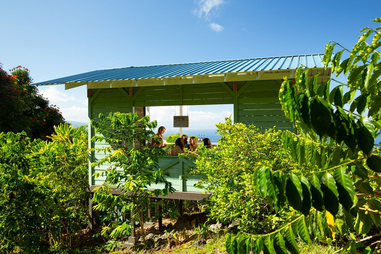 The farm
