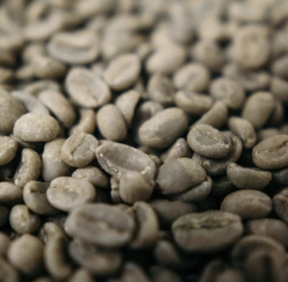 Green Coffee Club