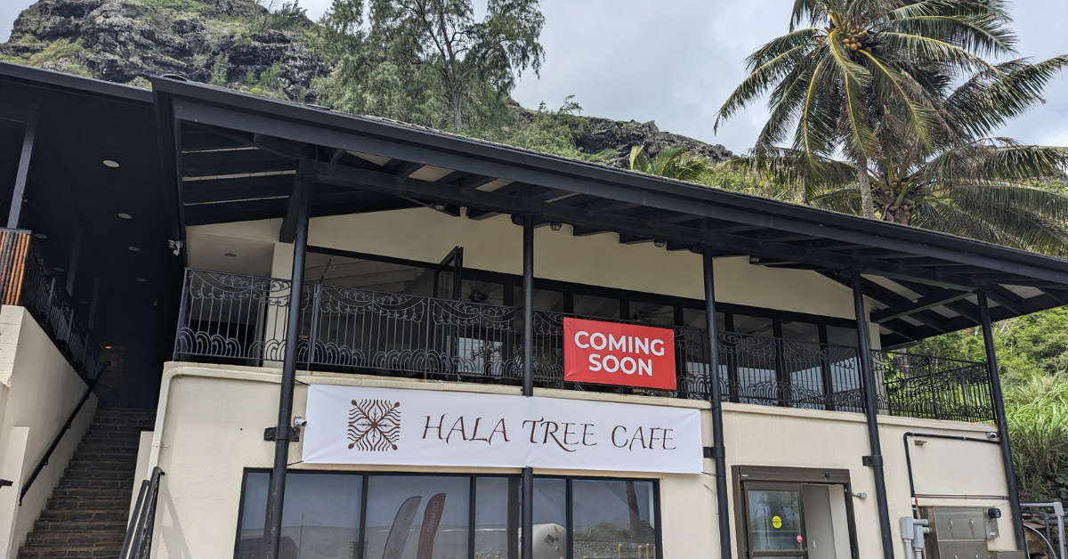 Hala Tree Coffee Expansion - Hala Tree Cafe O'ahu