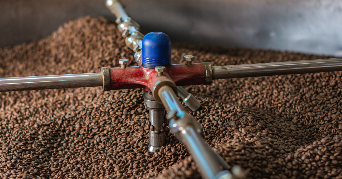 Introducing Roaster’s Choice: A Taste of Hala Tree Coffee’s Finest