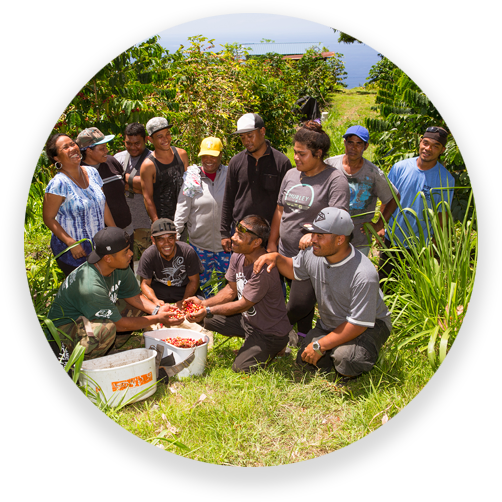 The Hala Tree Coffee Family