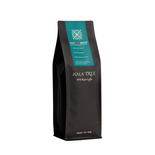 Ice-Hot Cold Brew coffee with added spices