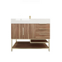  BT001 42’’Rosewood Freestanding Vanity with Reinforced Acrylic Sink (Right Side Drawers)