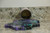 Campbell’s soup can #1